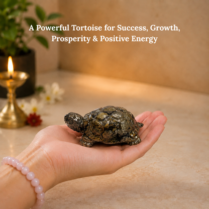 Pyrite Tortoise