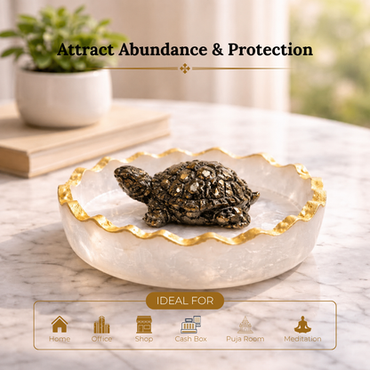 Pyrite Tortoise